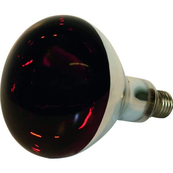 Lampa simplex crvena