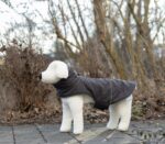 Jakna za psa Montreal - Image 2