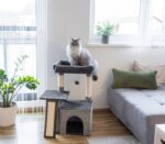 Grebalica penjalica za mačke Rosalie - Image 4