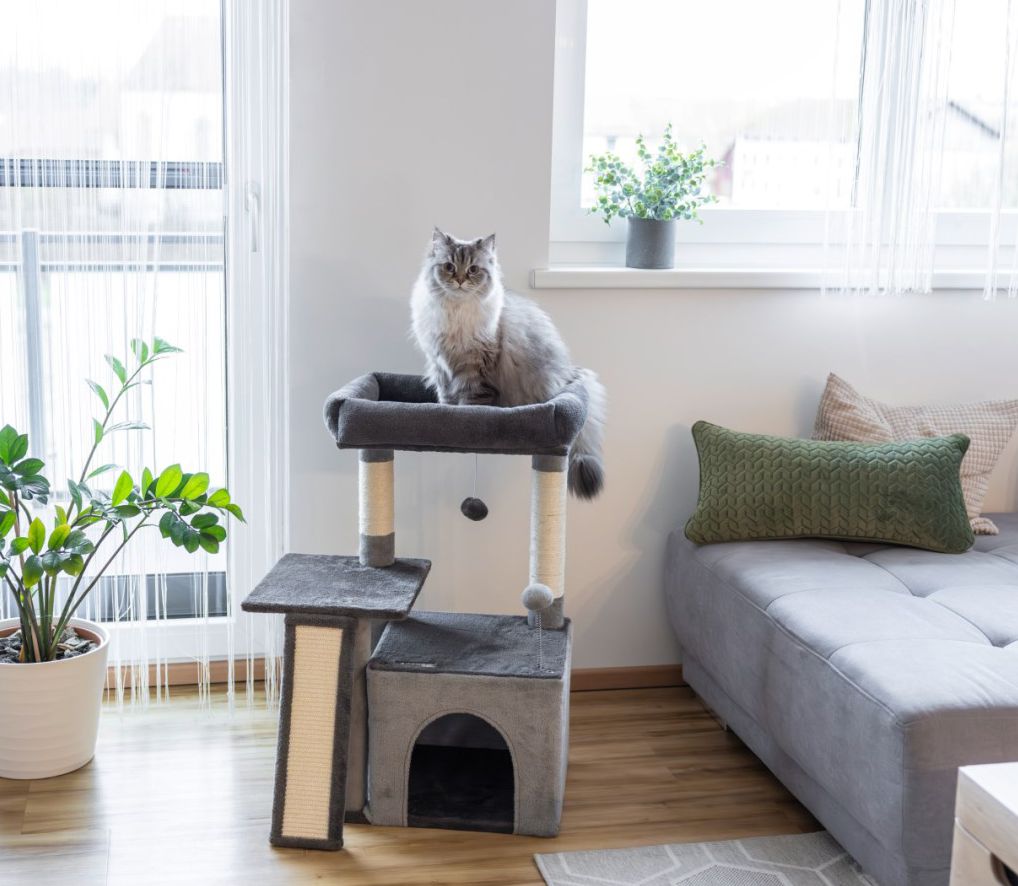 235985 Grebalica penjalica za mačke Rosalie - Image 4